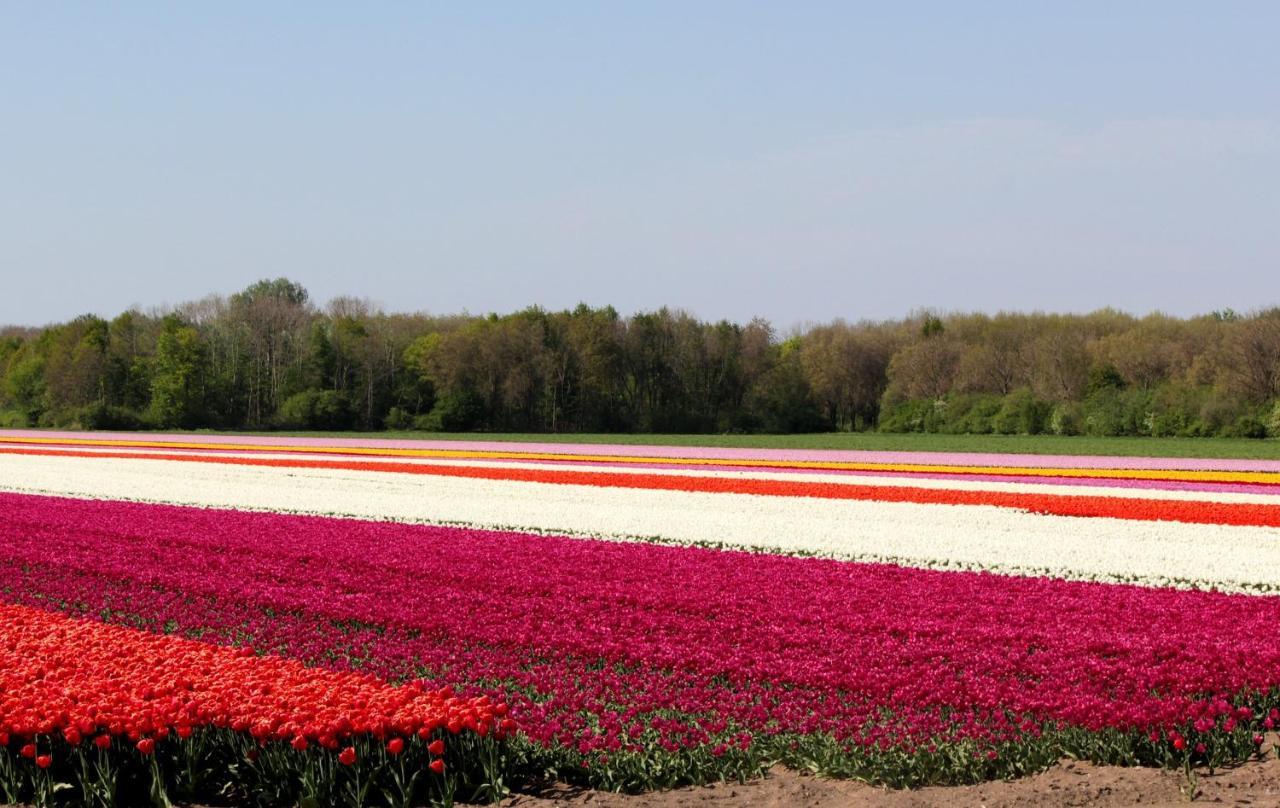 Finca Noordwijk Buitenkant foto